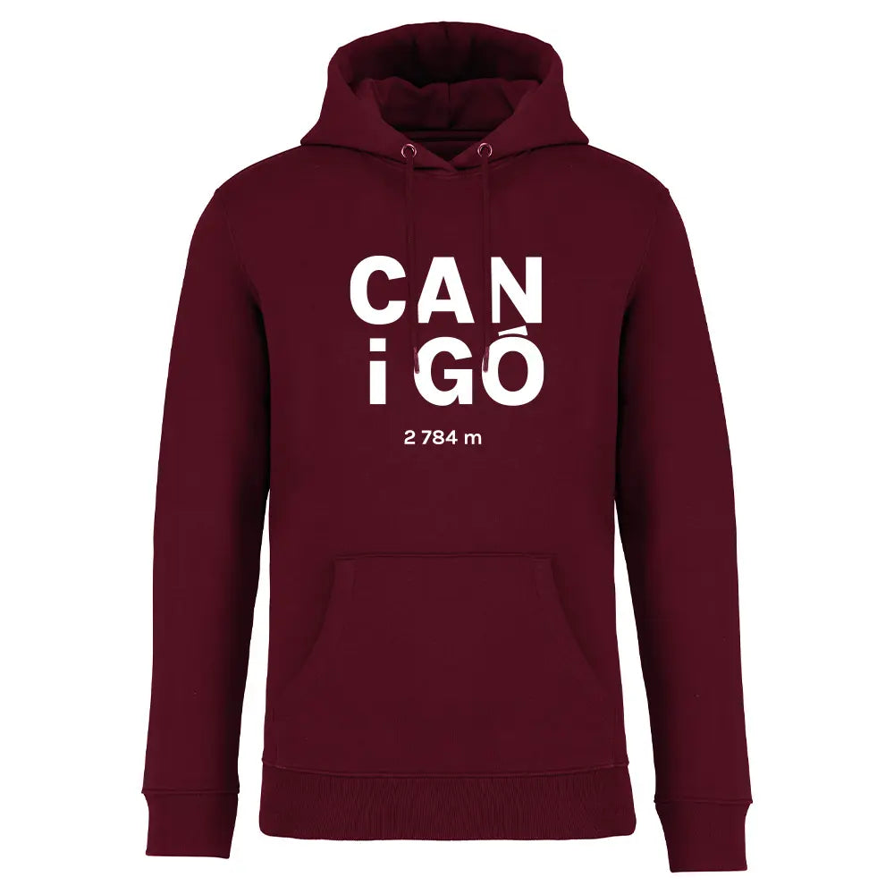 Recycled Hooded Sweatshirt - Canigó vertical