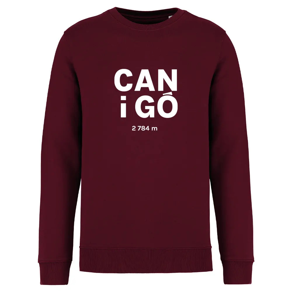 Recycled Round Neck Sweatshirt - Canigó vertical